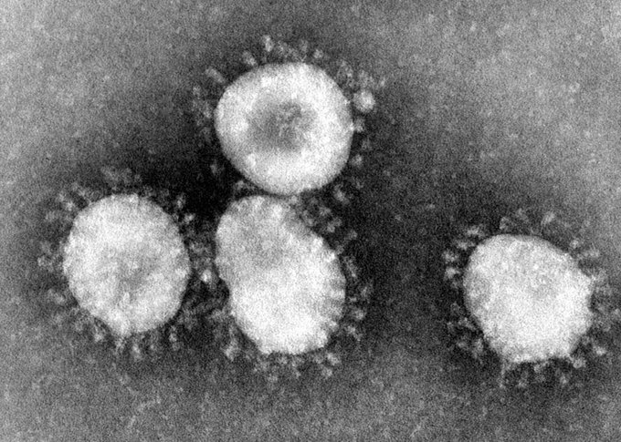 Coronavirus desde un microscopio