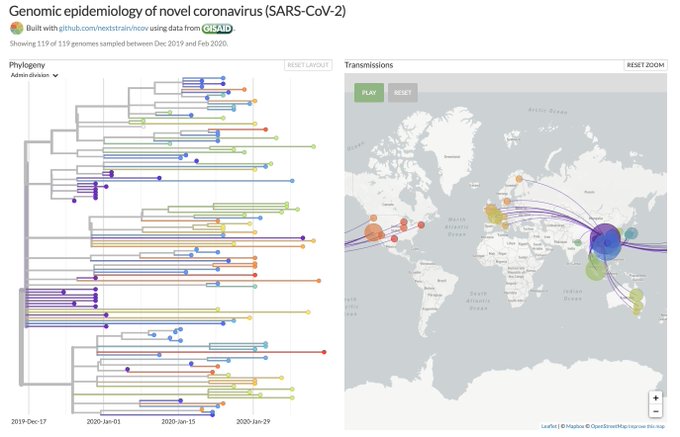 Expansión del coronavirus