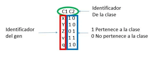Ejemplo archivo geneclasse.txt