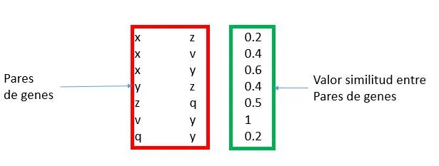 Ejemplo archivo geneclasse.txt