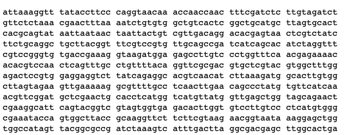 ADN coronavirus