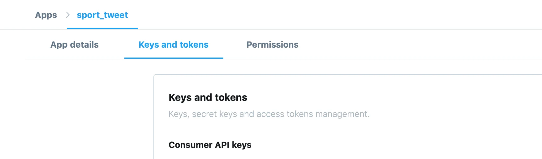 Keys and Access Token Twitter
